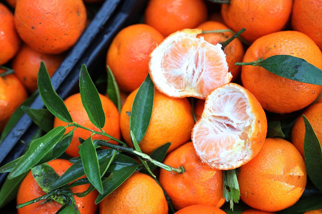 الماندارين يقود انتعاش الحوامض المغربية في موسم 2025/2026