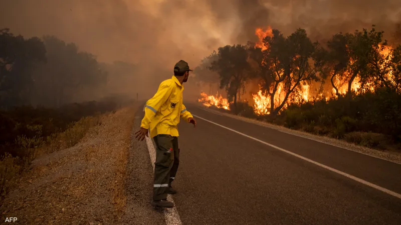 بركة يتفقد مخلفات حرائق الشمال