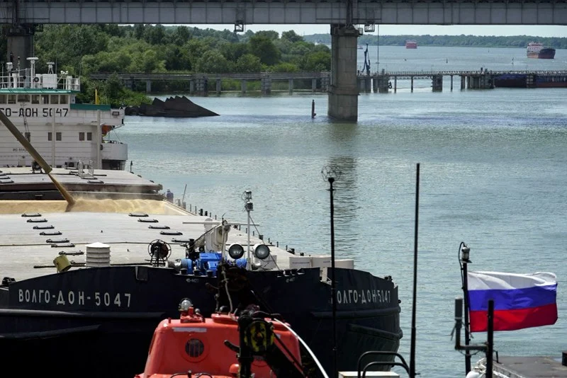 المغرب يتصدر مستوردي الأعلاف الروسية وسط قفزة غير مسبوقة في الصادرات