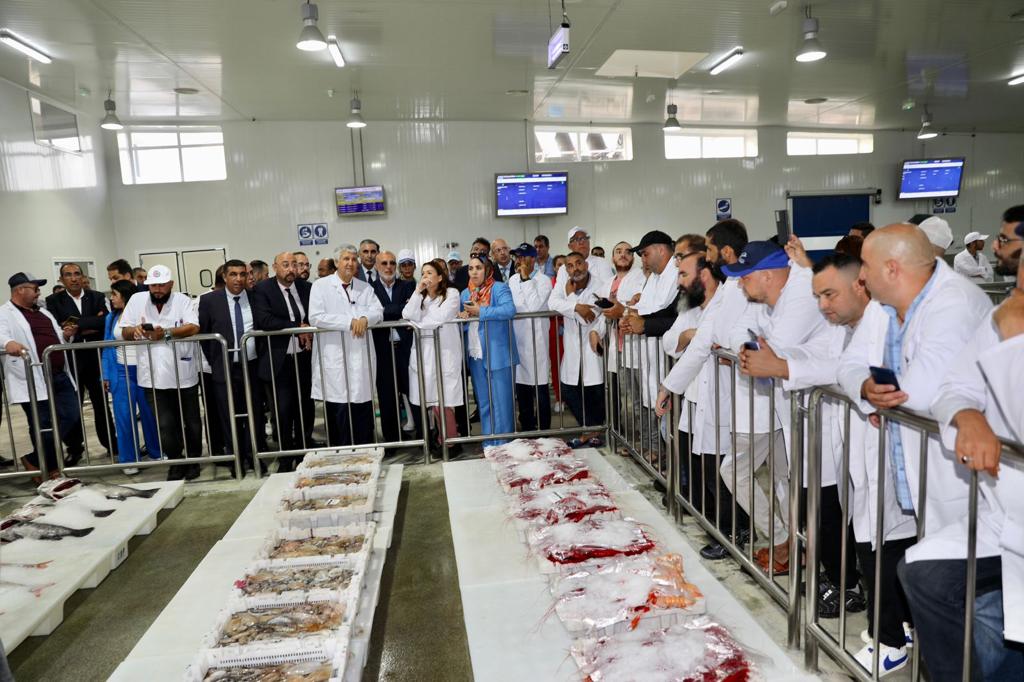 صديقي يشرف على مزاد رقمي لبيع منتوجات البحر بطنجة