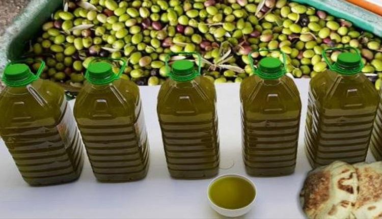 توقعات بانخفاض سعر زيت الزيتون إلى 50 درهما للتر