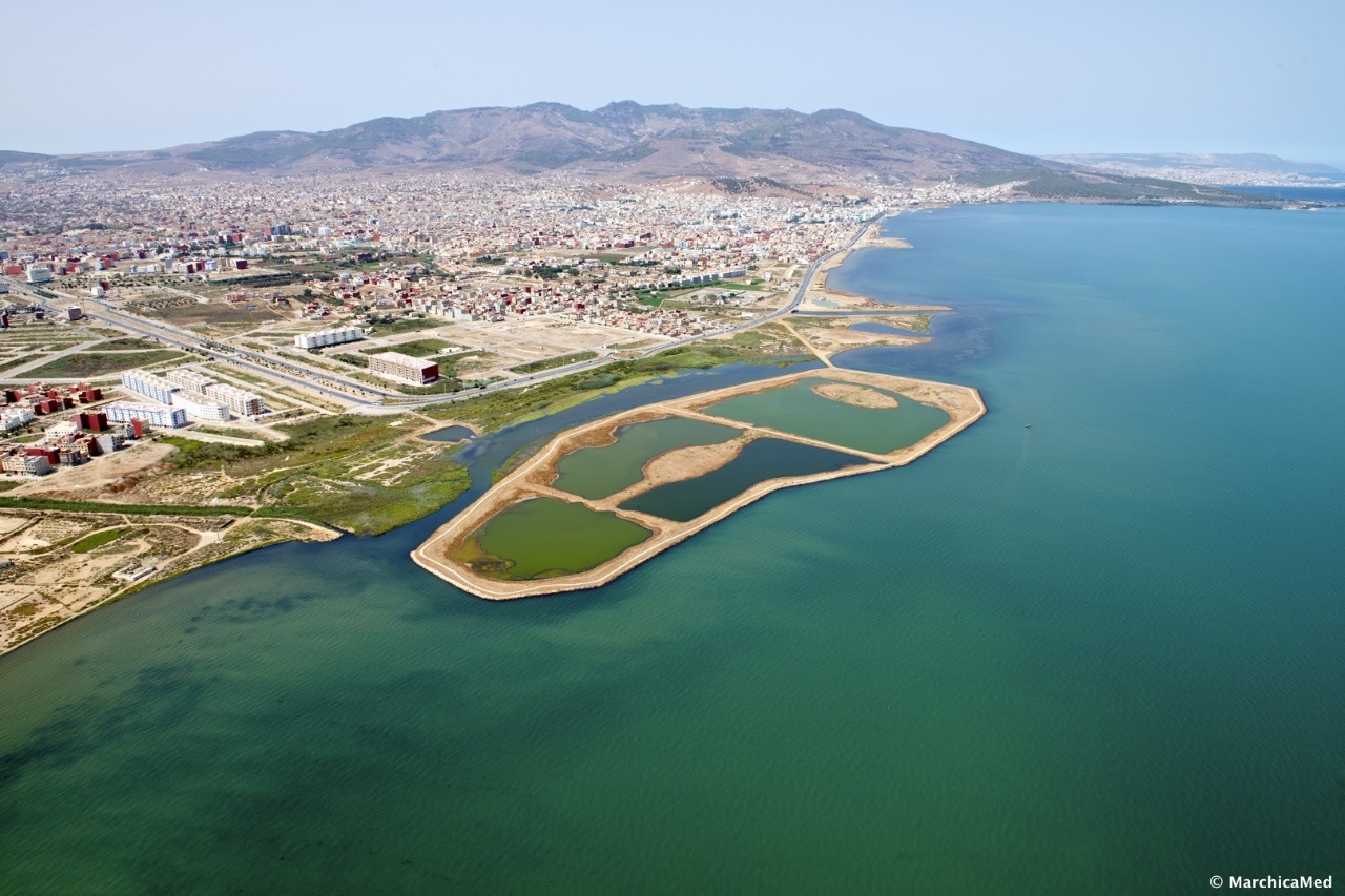 رسميا.. لجنة مركزية لتقصي حقيقة تلويث بحيرة "مارشيكا"