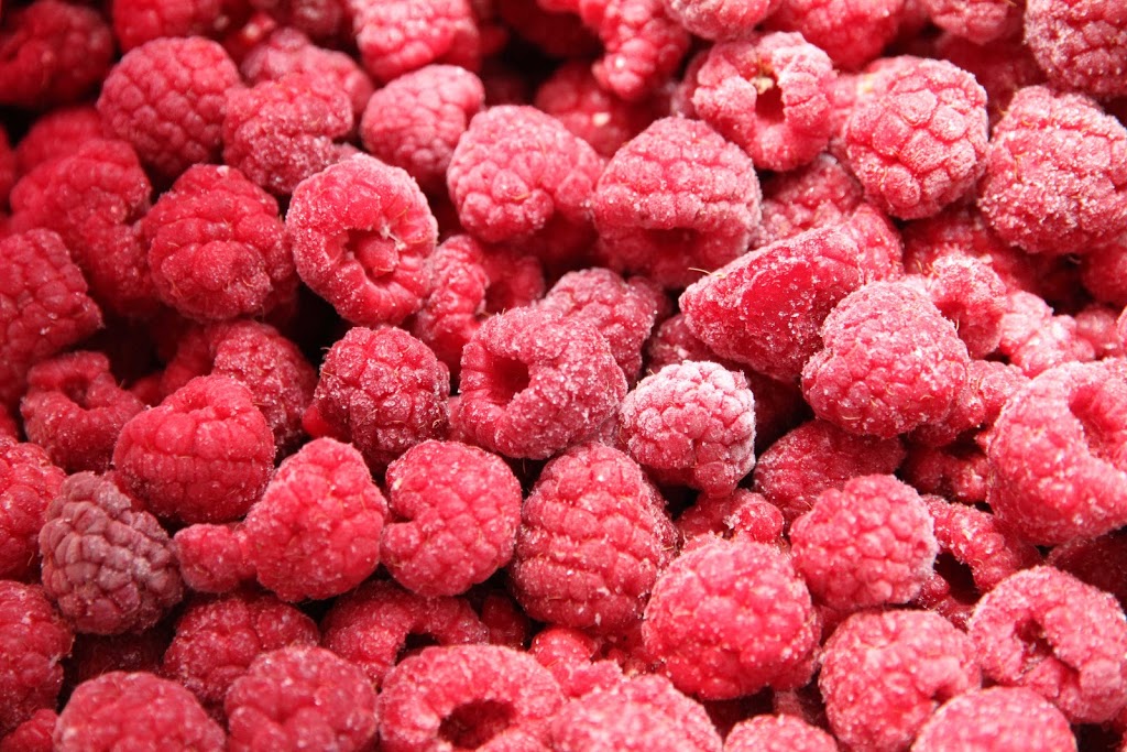 المغرب يعزز موقعه في سوق التوت المجمد بهولندا بصادرات قياسية