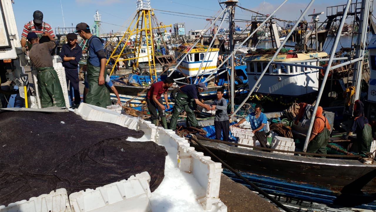 تغريم مراكب لصيد السردين بالعيون بسبب سفينة للمحروقات