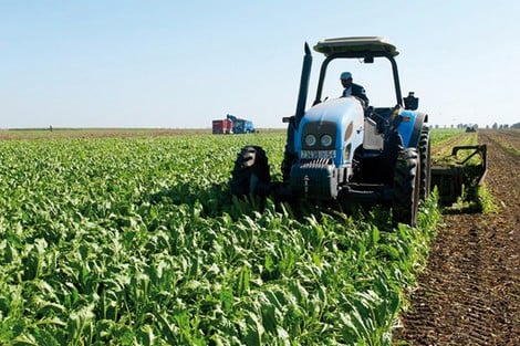 رغم التساقطات المطرية.. الموسم الفلاحي غير واعد حسب لبنك المغرب