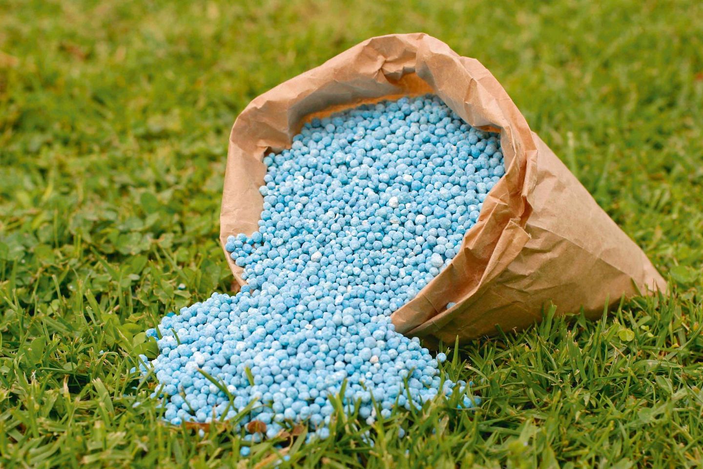 الأمم المتحدة تحذر من أزمة غذائية عالمية جراء اضطراب إمدادات الأسمدة عبر مضيق هرمز