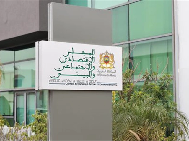 المجلس الاقتصادي والاجتماعي والبيئي يطلق استشارة مواطنة مع مغاربة العالم