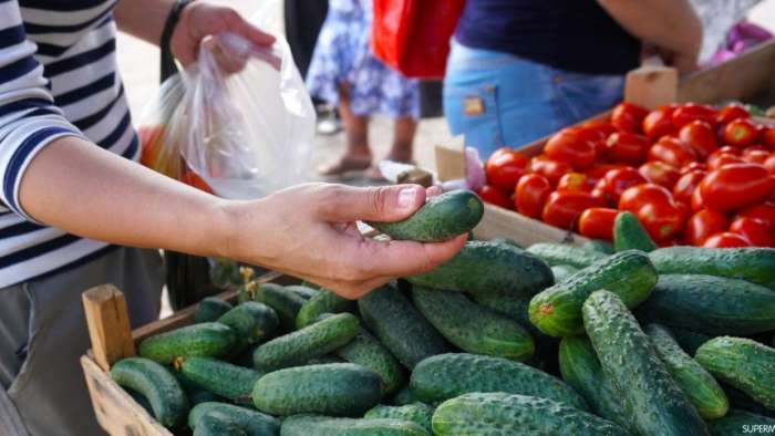 المغرب يهيمن على واردات الخيار في إسبانيا بـ75%