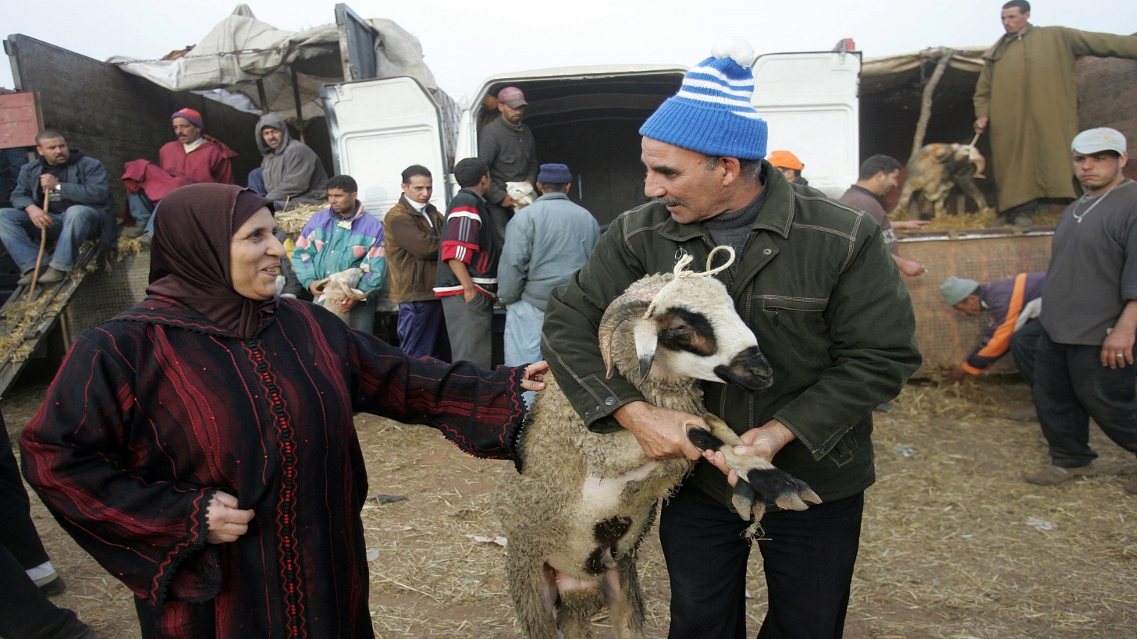 صديقي أمام مطالب برلمانية بتكييف أسعار الأضاحي مع القدرة الشرائية للمغاربة