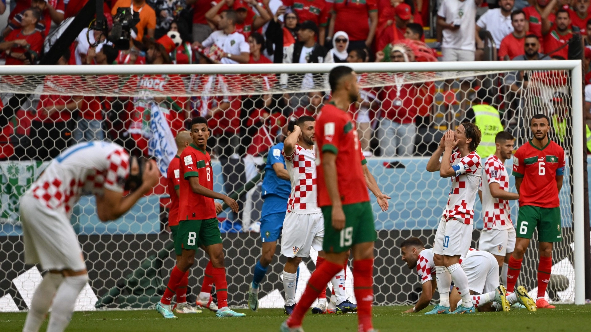 غياب مهم في صفوف الأسود قبل مواجهة كرواتيا