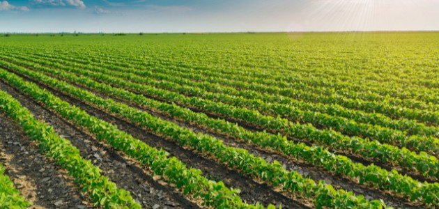 شراكة مغربية إسبانية تعزز الاستدامة الزراعية وتفتح آفاقا استثمارية جديدة