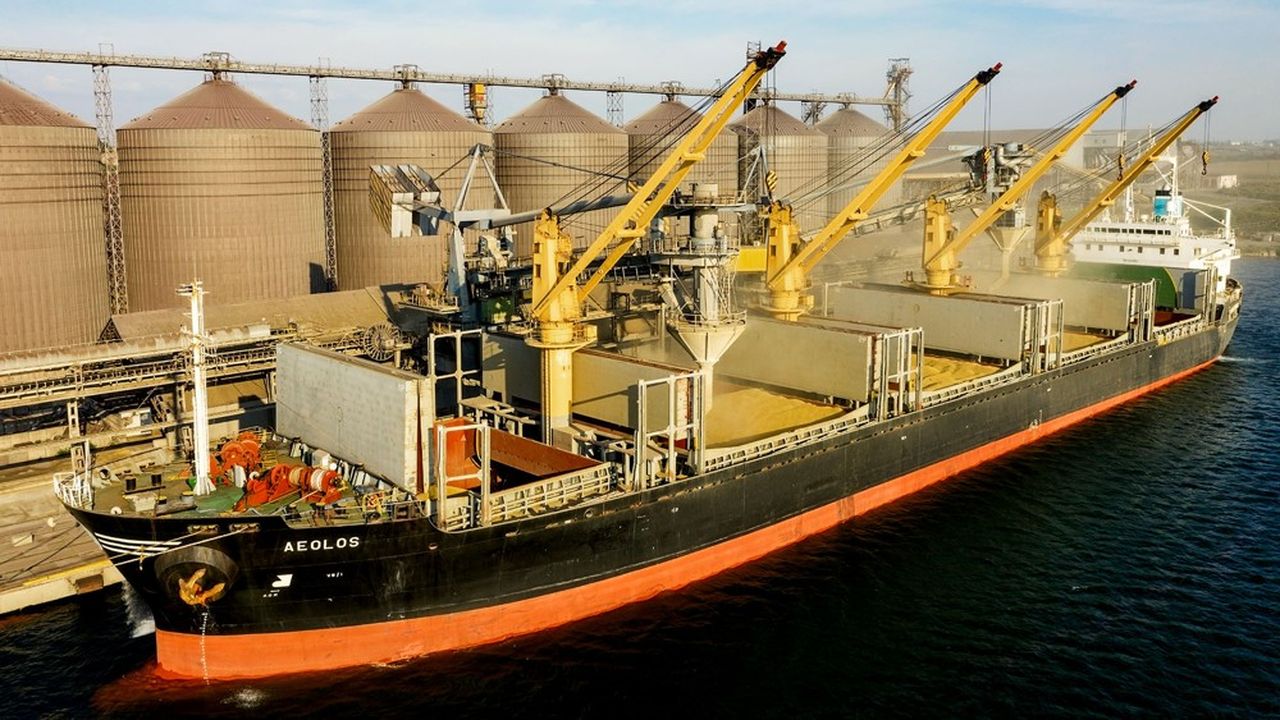 شحنة أوكرانية من مركبات الأعلاف والحبوب تحل بالمغرب