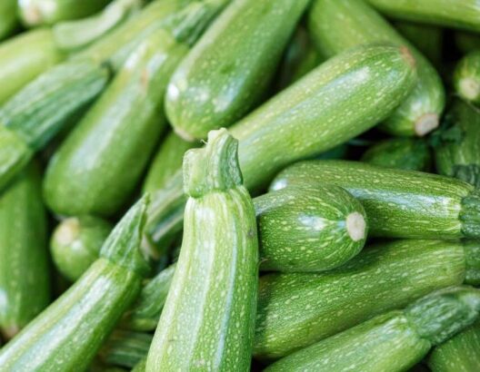 المغرب.. المورد الأول للكرعة إلى السوق الإسبانية