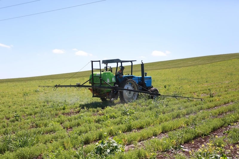 تحسن المحصول الفلاحي يرجح ارتفاع النمو الاقتصادي الوطني خلال الأشهر المقبلة