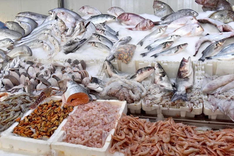 “الحوت بثمن معقول”.. مبادرة تتوسع إلى 50 مدينة و1100 نقطة بيع