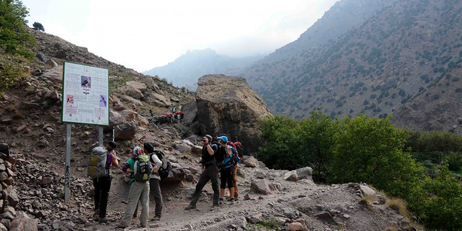 إطلاق منصة رقمية للدعم المالي لمؤسسات الإيواء السياحي المتضررة من زلزال الحوز