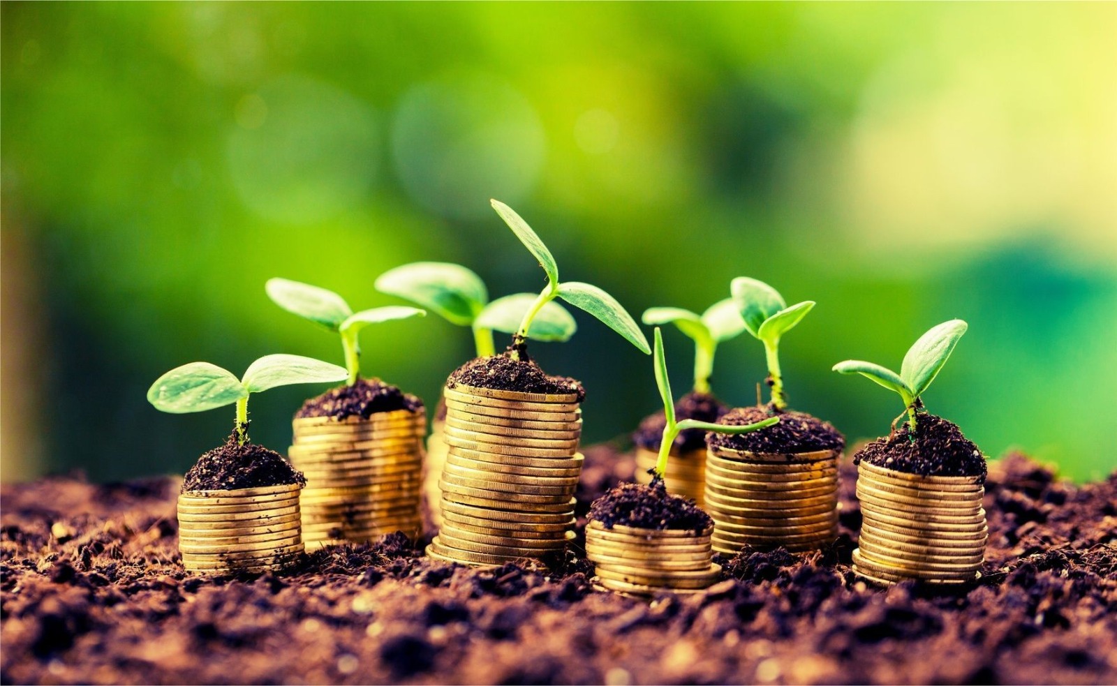 المالية تطلق دراسة حول خيارات التمويل "الأخضر" الصغرى والمتوسطة بالمغرب