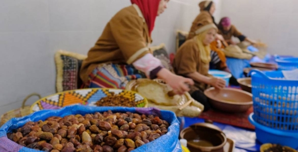 قطاع الاقتصاد الاجتماعي والتضامني ساهم في إحداث 24 ألف و558 منصب شغل خلال 2025