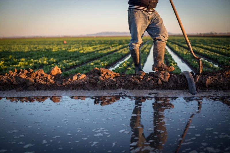 الأمطار الغزيرة تلحق أضرارا واسعة بالمحاصيل وتثير قلق الفلاحين