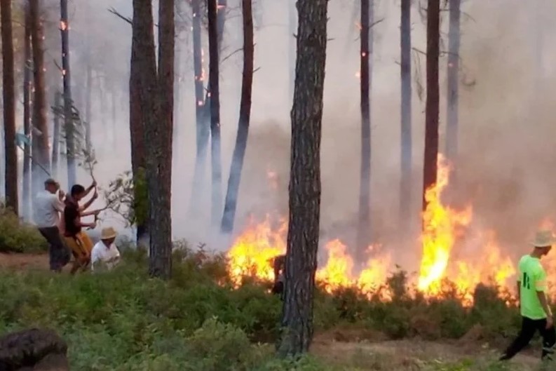 مخاطر حرائق الغابات.. السلطات تنتقل إلى المستوى "الأحمر" نهاية الأسبوع الجاري