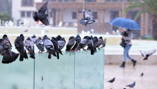 الأرصاد تنذر بأمطار قوية في هذه المناطق ابتداء من اليوم الثلاثاء