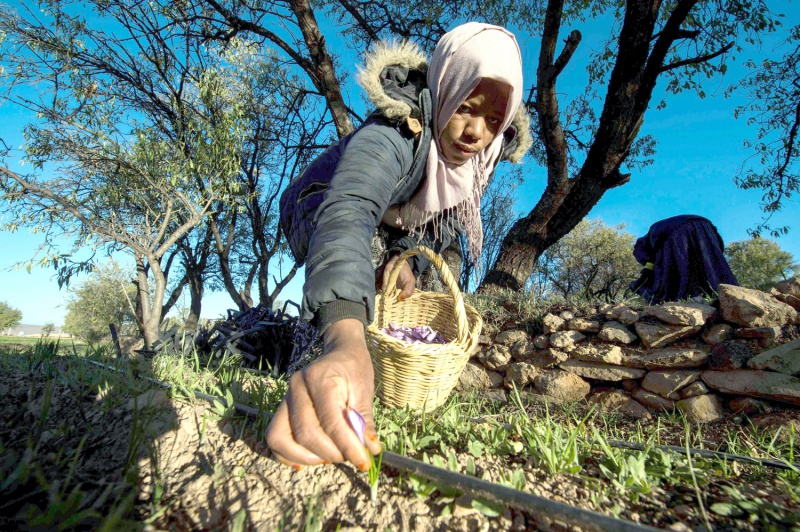 صندوق النقد الدولي يربك توقعات الحكومة بشأن النمو في 2023 + إنفوغراف