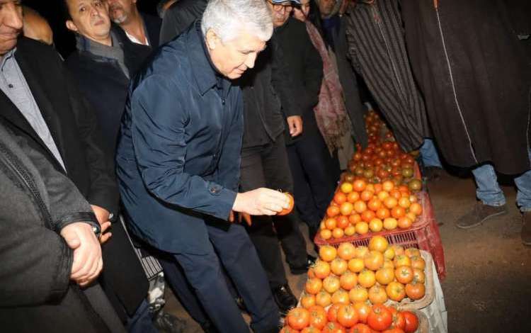 صديقي: خصصنا دعما بـ220 مليار لأسمدة الطماطم وخضر أخرى