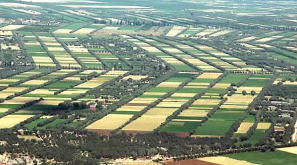 برلماني يطالب لفتيت بتمكين المستثمرين من استغلال هكتارات الجموع والأراضي السلالية