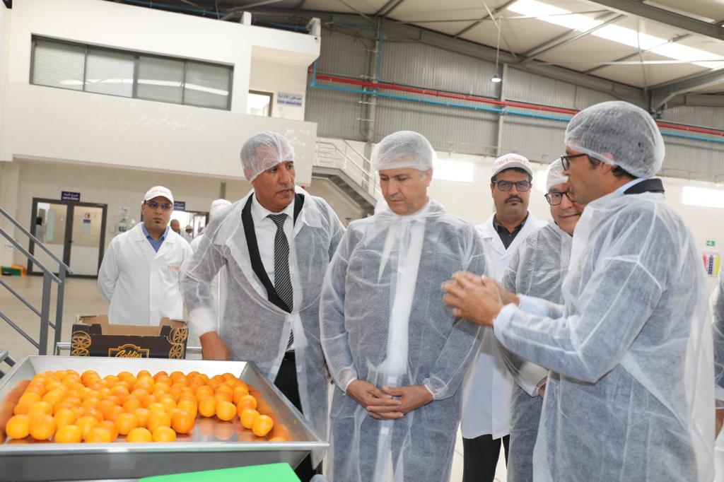 وزير الفلاحة يزور المهرجان الدولي للزعفران بتالوين