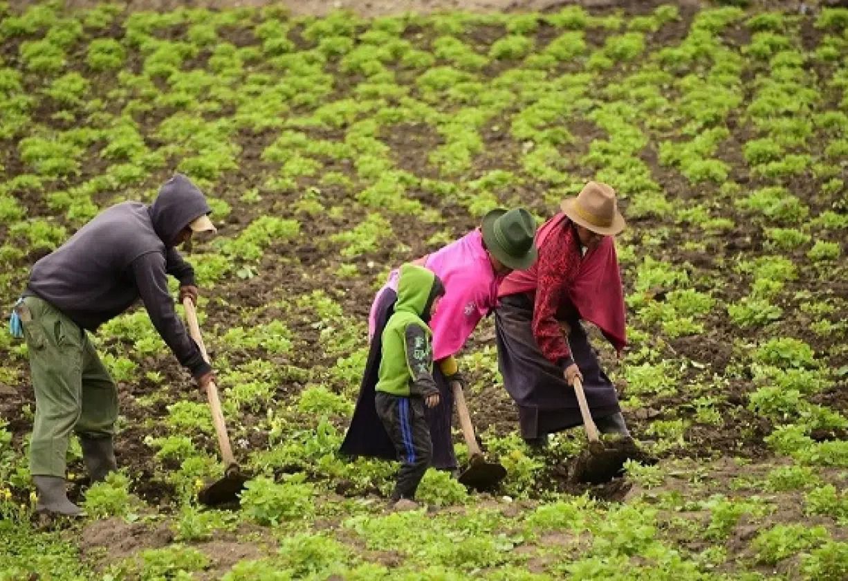 تقرير: التغير المناخي يهدد صغار الفلاحين ويضغط على الأمن الغذائي في المغرب