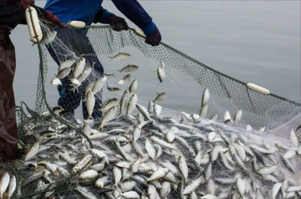 المغرب ينال اعترافا رسميا من الإدارة الوطنية الأمريكية للمحيطات والغلاف الجوي