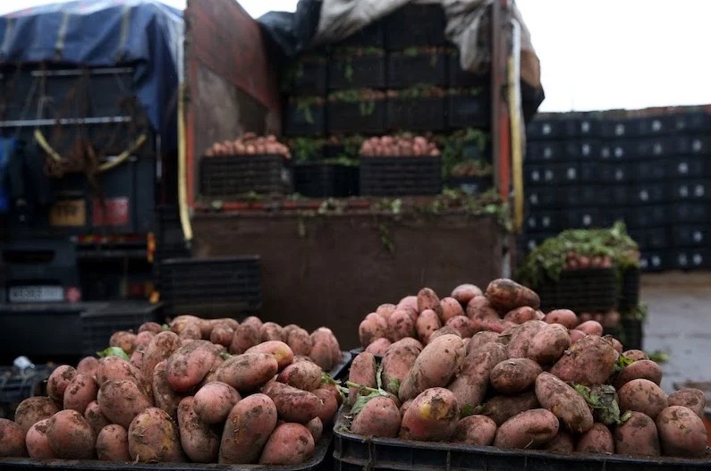 بعد تضرر الإنتاج المحلي بموجات الحر.. السلطات تحظر تصدير أنواع من الخضر إلى الأسواق الأفريقية