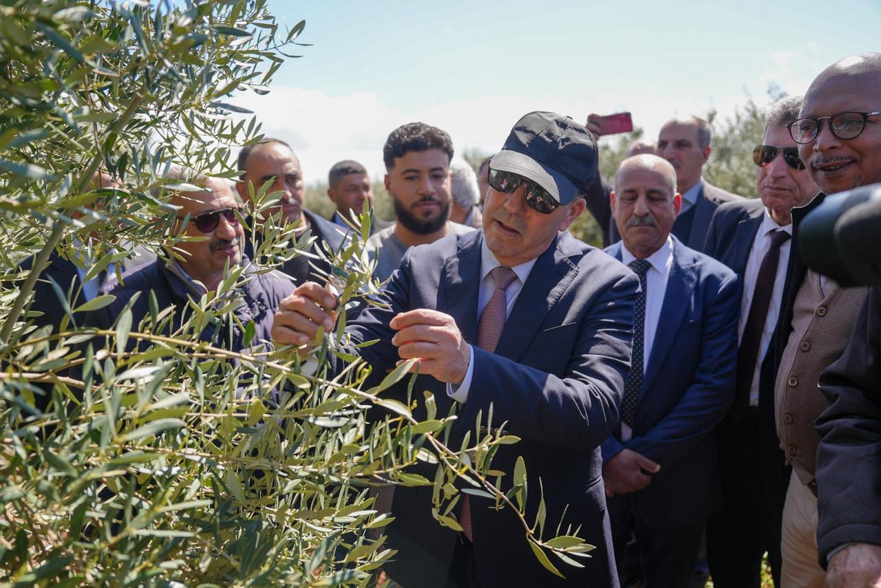 الأمطار الأخيرة خلقت ديناميكية قوية للفلاحة في جهة فاس-مكناس