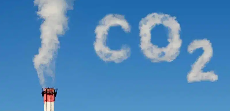 حوالي 70% من المقاولات الصغيرة والمتوسطة منخرطة في مسار إزالة الكربون