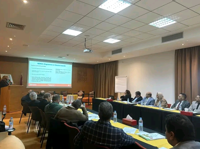 ورشة عمل حول نظام الماء والطاقة والتغذية بأكادير