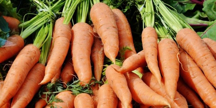 في عز الغلاء ونقص الخضر بالأسواق.. المغرب صدر 60 % من إنتاج الجزر إلى موريتانيا