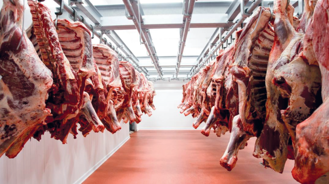 "بيجيدي" يسائل الحكومة حول تأثير إعفاءات الاستيراد على أسعار اللحوم الحمراء بالأسواق