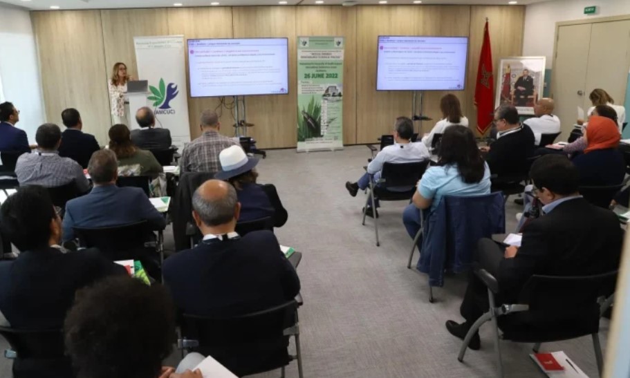 إنتاج "الكيف" العلاجي سيبدأ في غضون 3 أشهر