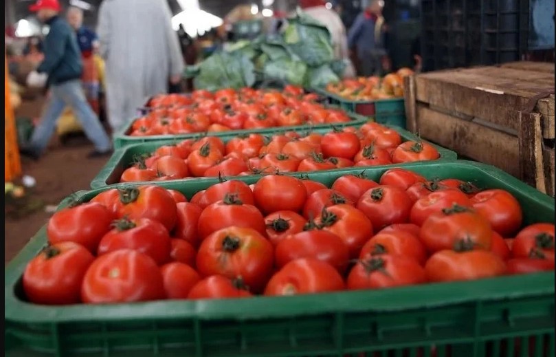 بالأرقام: مخاوف تزويد الأسواق وارتفاع الأسعار يبطآن وتيرة تصدير الخضر