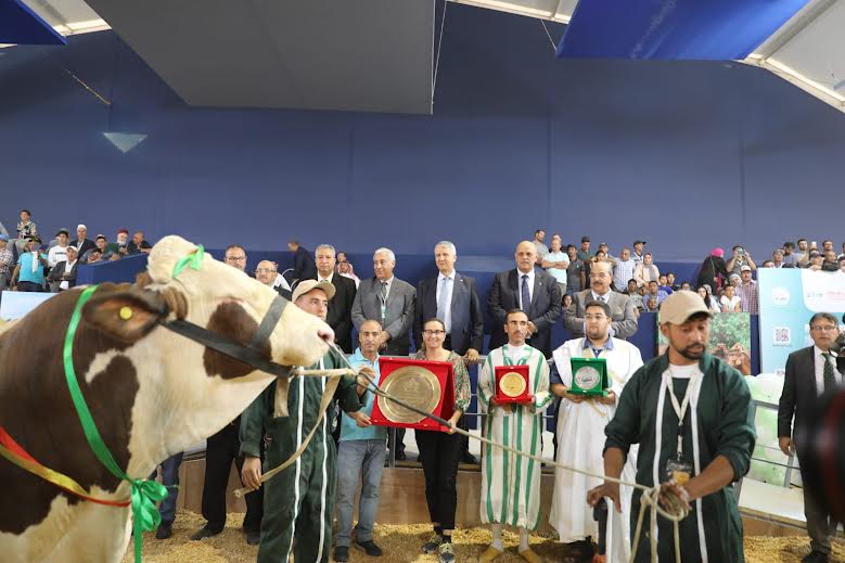أحسن رؤوس الماشية.. صديقي يتوج "الكسابة" بمكناس
