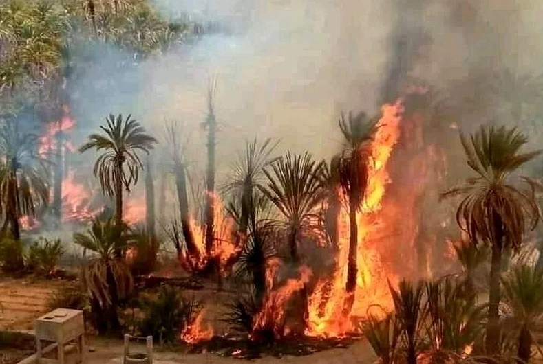 استثناء ضحايا حرائق الواحات من تعويضات صندوق الكوارث الطبيعية.. "البام" يسائل الوزير صديقي