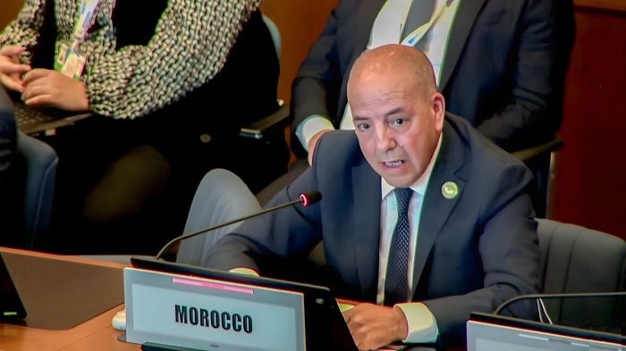 البواري: نلتزم بتقوية التعاون جنوب–جنوب من خلال مبادرات ملكية لفائدة إفريقيا