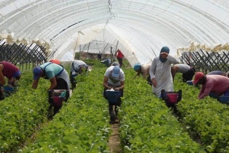 السكوري: الحكومة توسطت في تشغيل 27 ألف مغربي بالخارج