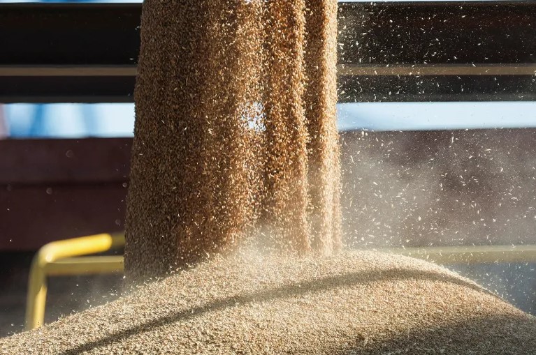 أزمة القمح.. آمال معلقة على عودة التصدير مع اجتماع محتمل لأردوغان ببوتين