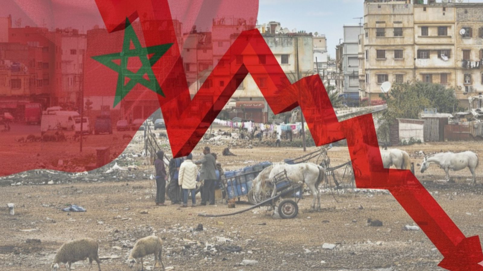 تقرير: المغرب ضمن 11 دولة عالمية حققت تحسنا شاملا في مكافحة الفقر