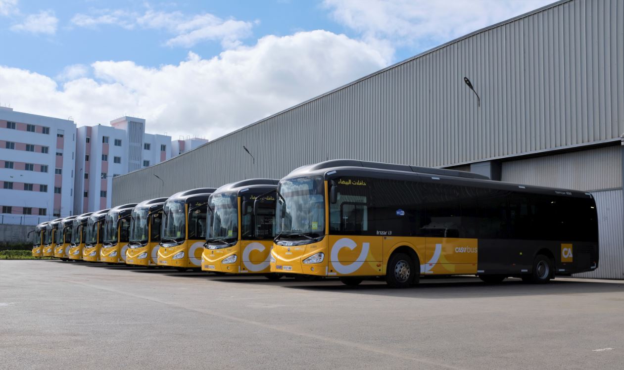 علم "البوليساريو" في حافلات البيضاء.. "ألزا" المغرب توضح