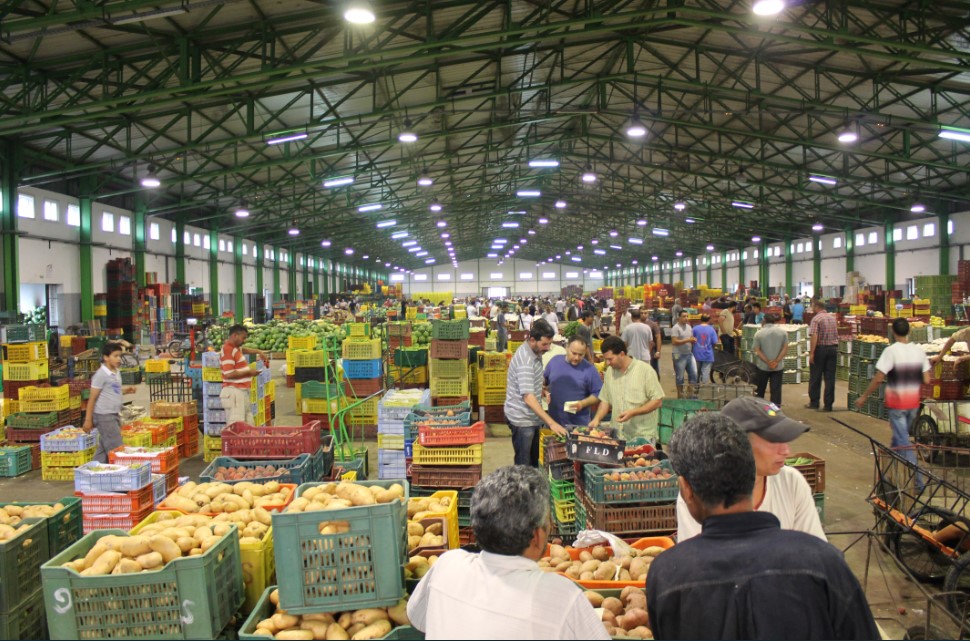 موجة الغلاء.. الأحرار يطلبون التصدي للمضاربين في أسعار المنتوجات الفلاحية