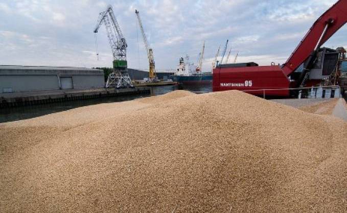 المغرب يستعد لاستقبال أول شحنة قمح روسي منذ اندلاع حرب أوكرانيا