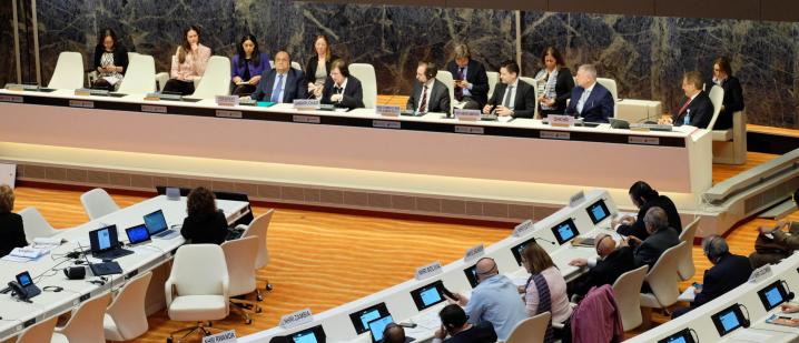 انتخاب المجلس الوطني لحقوق الإنسان نائبا لرئيس التحالف العالمي GANHRI