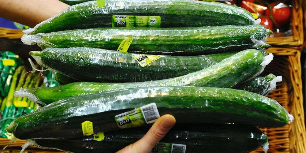 المغرب يرفع صادراته من الخيار بأزيد من 3 أضعاف وإسبانيا أول زبنائه + إنفوغراف